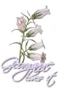 White ~ Georganne