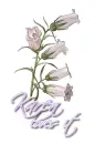 White ~ Karen