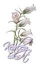 White ~ Kealey