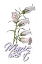 White ~ Marie