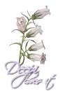 White ~ Deepi