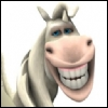 Horsey Grin