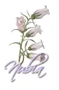 White ~ Nubia