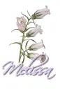 White ~ Melissa