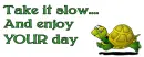 Enjoy your day Turtle