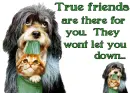 True Friends 