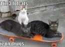 One is on drugs.