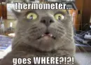 GOES WHERE?