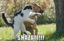 SHAZAM.