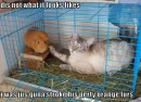 It's not what it looks like.
