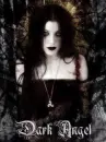 dark angel