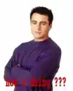 Joey...how u doing ???