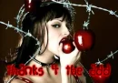thanx 4 the add