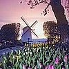Windmill