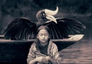 monkbird