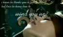 wind it up
