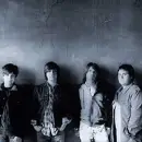 The Elms