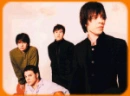 The Elms