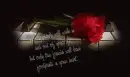 RED ROSE