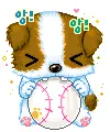 cute puppy