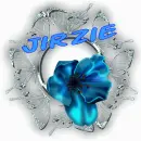 Silver Frame, Blue Flowers - Jirzie