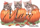 Mary kittys
