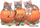 Deepi kittys