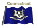 Connecticut Flag