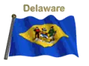Delaware Flag