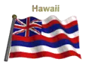 Hawaii Flag