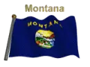 Montana Flag