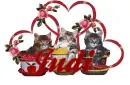 Judi with Cats