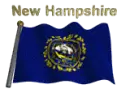 New Hampshire Flag