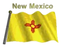 New Mexico Flag