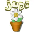 Judi