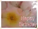 Birthday