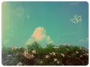 close sky