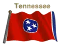 Tennessee Flag