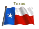 Texas Flag