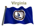 Virginia Flag