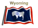 Wyoming Flag