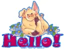 Hello!