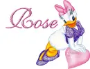 Rose