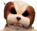 My Pet