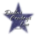 Dallas Fan
