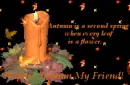 Happy Autumn