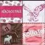 name brand