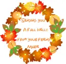 Fall Hello