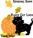 Black Cat Luck