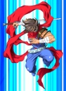 styrder